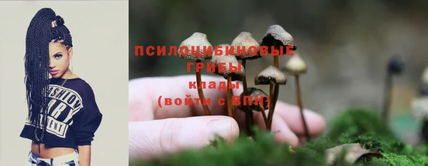 2c-b Надым